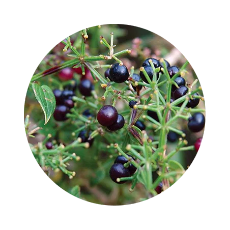 250ml Henna Extra Red