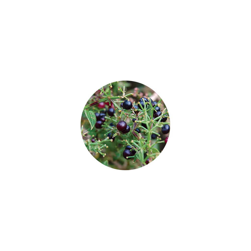 100ml Henna Extra Red