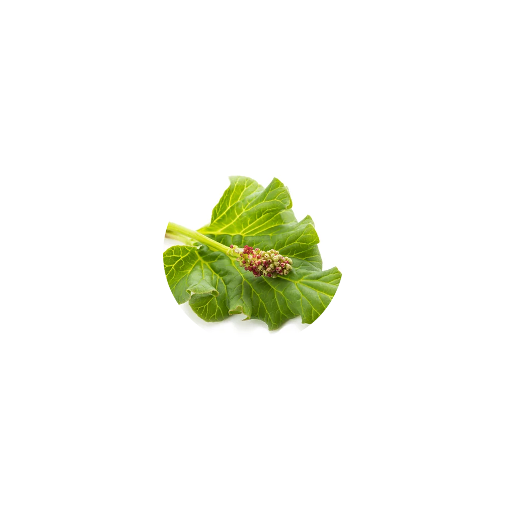 Rhubarb Powder