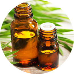 Cajeput Essential Oil for Henna Paste | Henna Boy