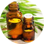 Cajeput Essential Oil