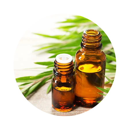 Tea Tree Essential Oil