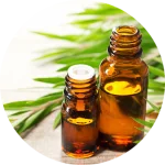 Tea Tree Essential Oil
