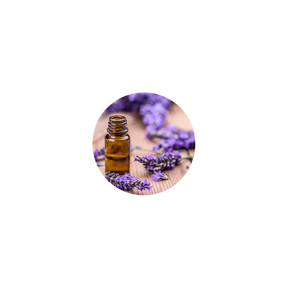Lavender Essential Oil