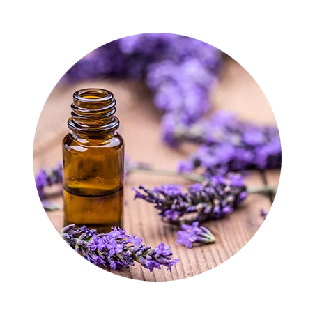 Lavender Essential Oil