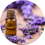 Lavender Essential Oil