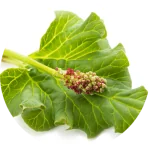 Super Blond Natural Hair Dye