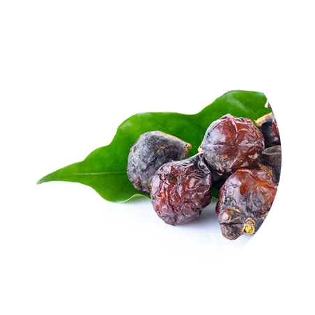 Hair Care and Conditioning Pack