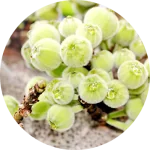 Hair Care and Conditioning Pack