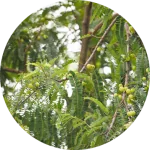 Hair Care and Conditioning Pack