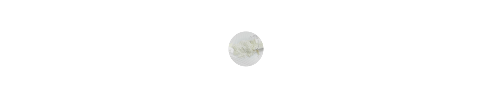Xanthan Gum for Jagua Gel | Henna Boy